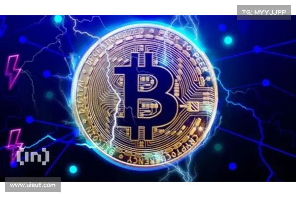 比特币闪电网络研究报告：美元支付同比增长410，比特币公共容量增长218